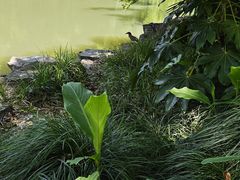 -杭州城北体育公园