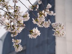 -龙美术馆(西岸馆)