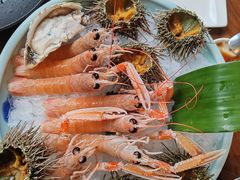 -Mr.Fish鱼鲜生海鲜放题(高德置地冬广场店)