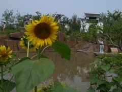 -武清南湖绿博园