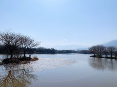 -西昌邛海湿地