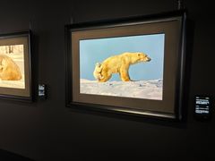 -罗红摄影艺术馆