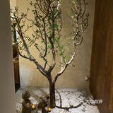 喝喝茶 聊聊天 养养生 🍵