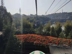 -观澜山水田园