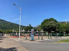-顺峰山公园