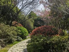-桃花岛景观公园