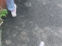 -晓琦农家菜馆·地道农家菜