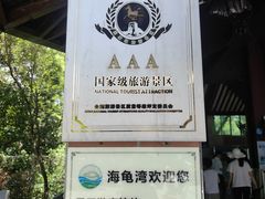 -广东惠东海龟国家级自然保护区