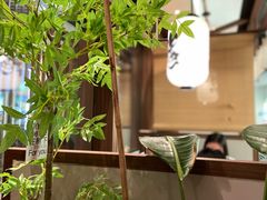 -沼津港精致料理·寿喜烧·烧鸟(漕河泾印象城店)