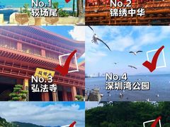 -深圳湾公园(南山区)