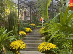 -Le Chalet Dalat