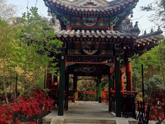 -红螺寺
