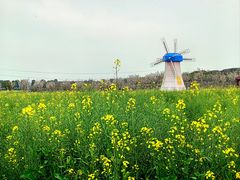 -武汉紫薇都市田园