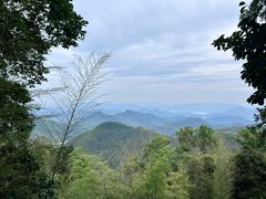 -莫干山风景区
