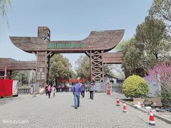 -溱湖国家湿地公园