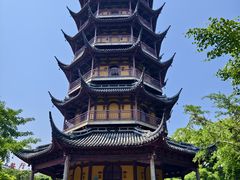 -红梅公园