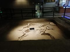 -洛阳周王城天子驾六博物馆