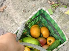 -松浦·观江国际