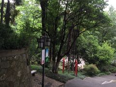 -伯先公园