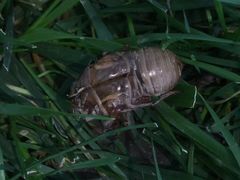 -颐和园-景明楼