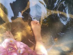 -西安国际创新人才交流中心•药浴温泉
