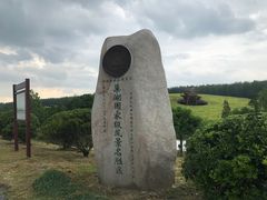 -合肥滨湖国家森林公园