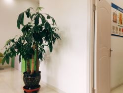 -荟草堂痘肌修护中心