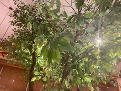 -蜜桃餐厅·伴山(湖滨商业街店)