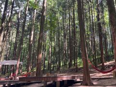 -山王坪喀斯特国家生态公园