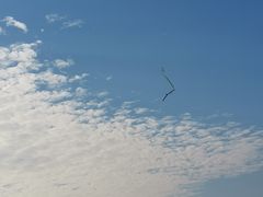 -滆湖低碳生态公园