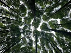 -山王坪喀斯特国家生态公园