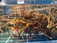 -雍容荟帝王蟹活龙虾展台自助(IFS黑金店)