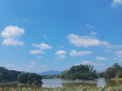 -江心屿景区