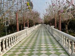 -百万葵园
