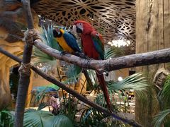 -杭州开元森泊度假乐园