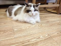 -白兔子密室(长寿路店)