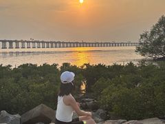 -宝安西湾红树林湿地公园