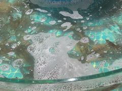 -蓝珊甄选海鲜自助·火锅大排档(近阿那亚店)