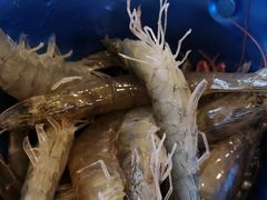 -澜悦港海鲜体验主题餐厅