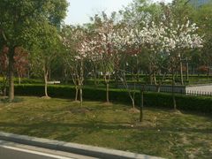 -新田360广场(上海华侨城店)
