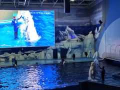 -福州罗源湾海洋世界旅游区