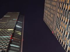 -上海浦东嘉里大酒店