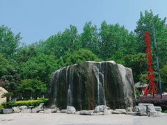 -合肥滨湖国家森林公园