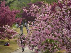 -国家植物园