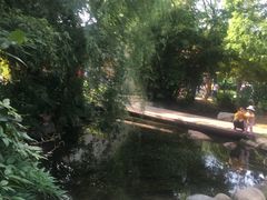 -白马涧龙池景区
