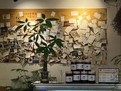 -唐咖精品咖啡(大理古城手冲店)