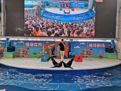 -成都浩海立方海洋公园