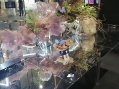 -日本科学未来馆
