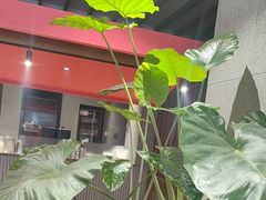 -陈熹公民族美食文化餐厅(中华广场店)