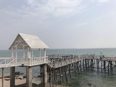 -北海金海湾红树林生态旅游区
